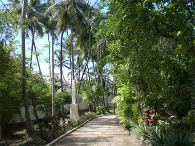 The Legend Garden Saint Peter